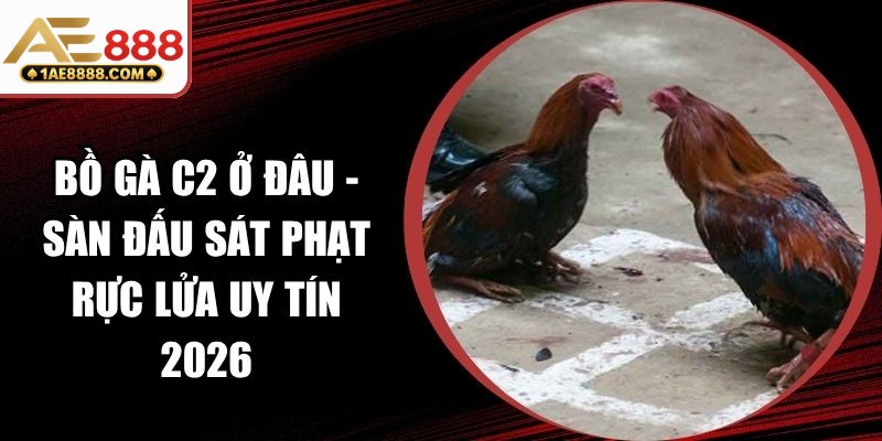 Bồ Gà C2 Ở Đâu