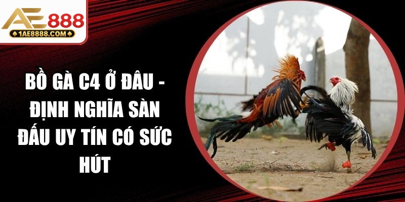 Bồ Gà C4 Ở Đâu