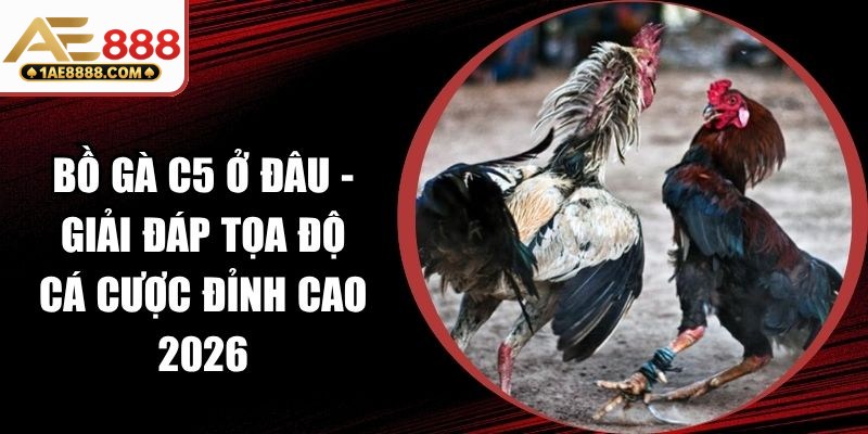 Bồ Gà C5 Ở Đâu