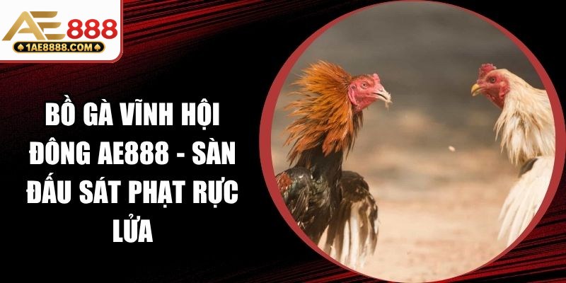 Bồ Gà Vĩnh Hội Đông