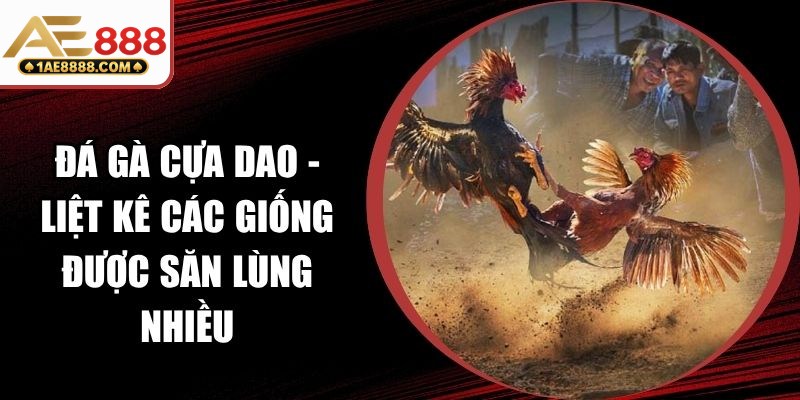 Đá Gà Cựa Dao
