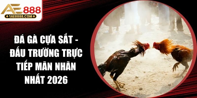 Đá Gà Cựa Sắt
