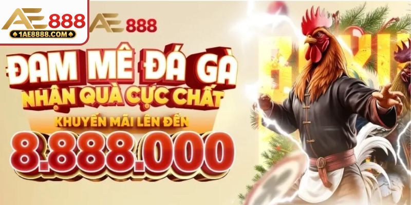 Các chương trình khuyến mãi chào mừng newbie